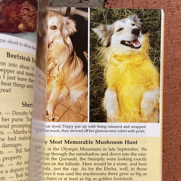 All That the Rain Promises and More Edible Mushrooms Mushie Pocket Guide Plant - Picture 6 of 13